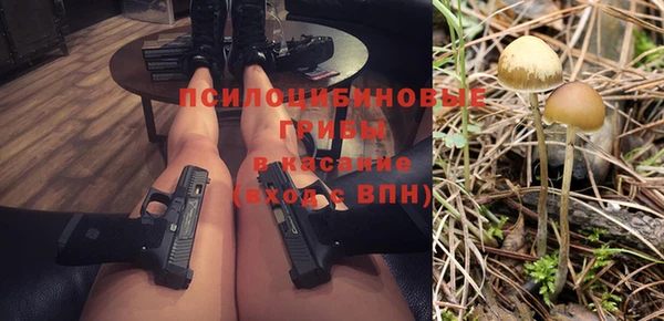 дмт Заводоуковск