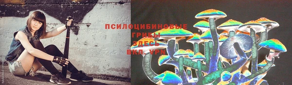дмт Заводоуковск