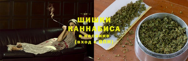 сатива Щигры