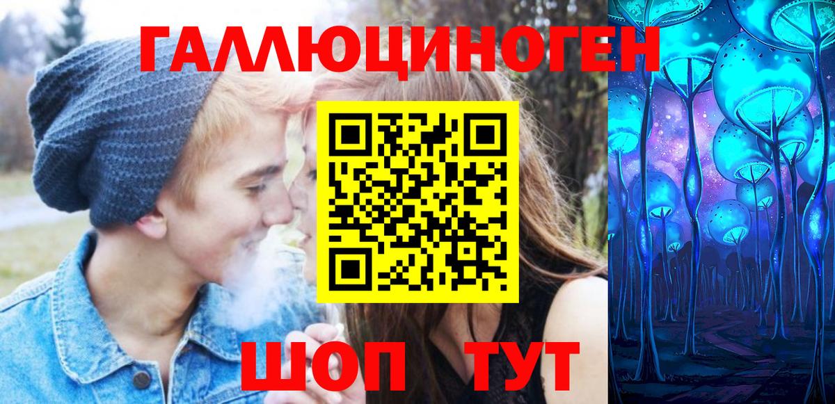 Псилоцибиновые грибы Psilocybe Кореновск