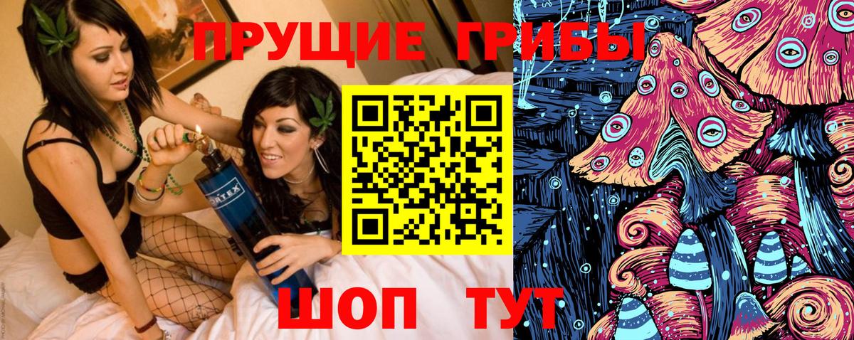 Галлюциногенные грибы Psilocybine cubensis  купить закладку  Кореновск  Вход с VPN 