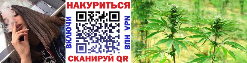 как найти закладки  Кореновск  Шишки марихуана Amnesia 