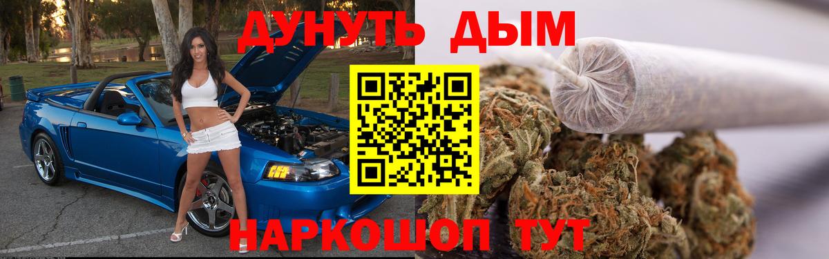 Бошки марихуана конопля Кореновск